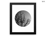 Trees Dusk Print, Beautiful Wall Art with Frame and Canvas options available Photography Decor