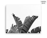 Banana Leaf Print, Beautiful Wall Art with Frame and Canvas options available Fruit Decor