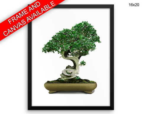 Bonsai Print, Beautiful Wall Art with Frame and Canvas options available Home Decor